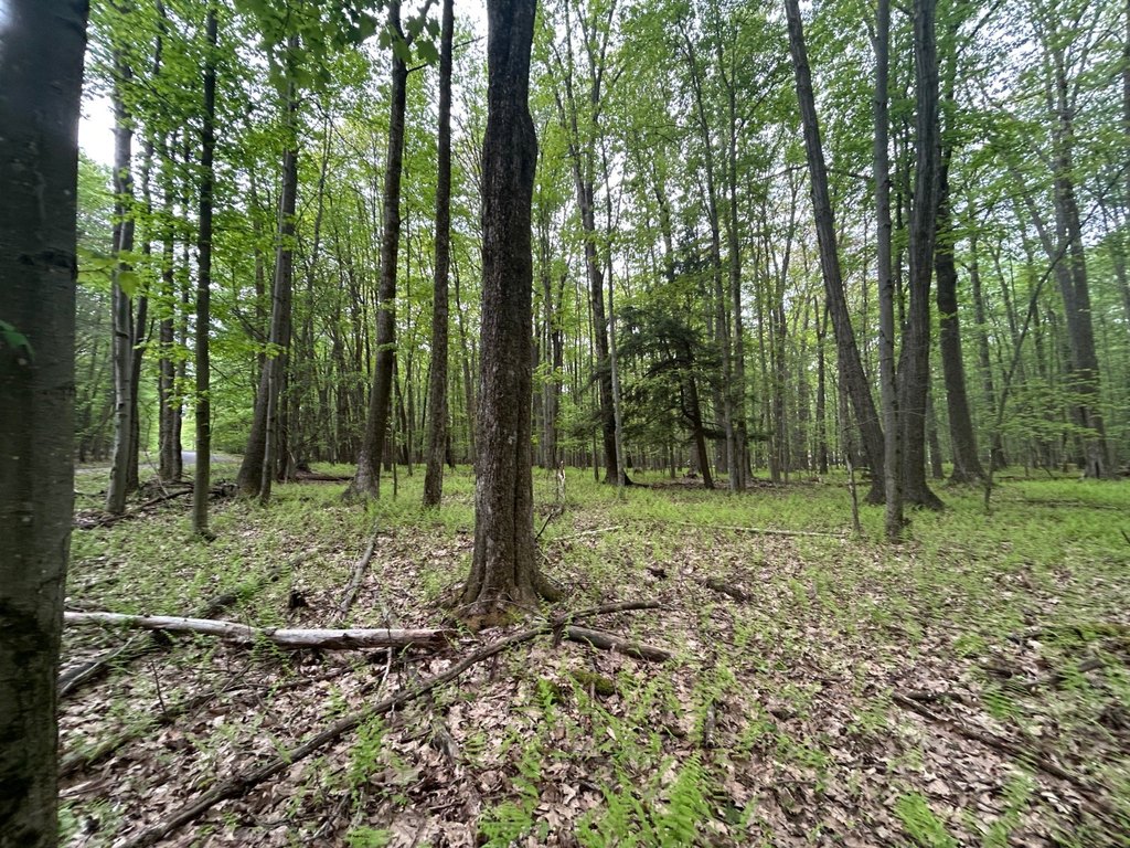 Picture 24