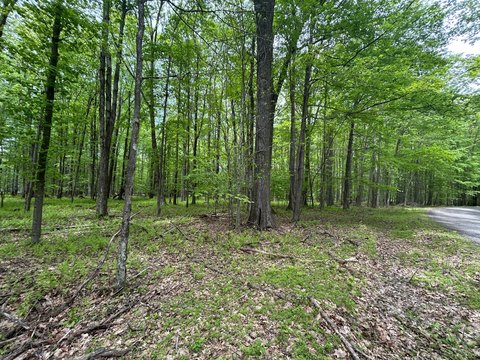 Land, Dubois, PA