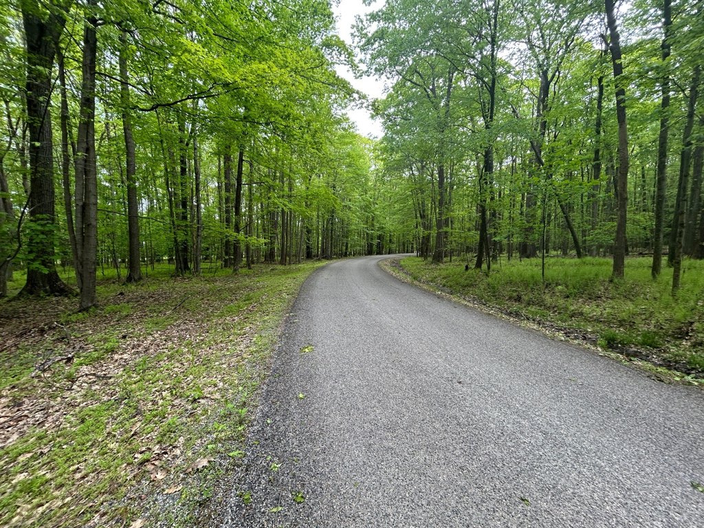 Picture 30