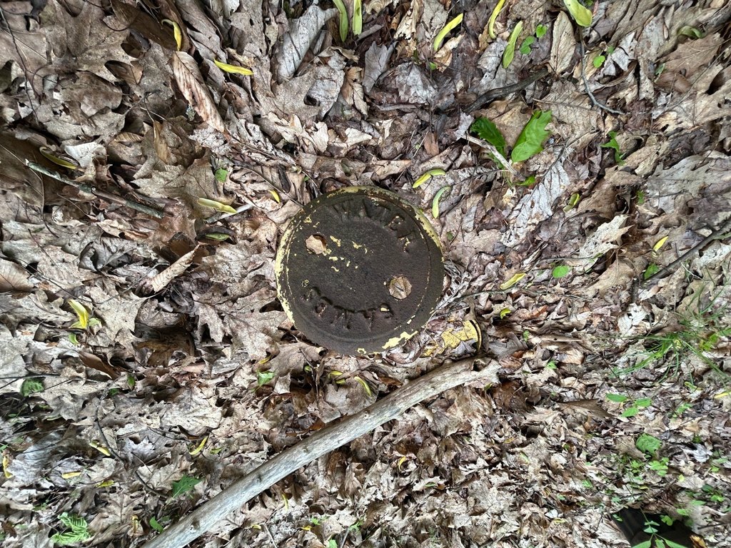 Picture 6