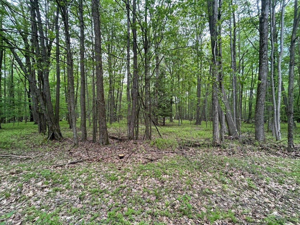 Picture 19