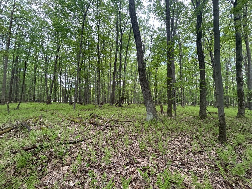 Picture 25