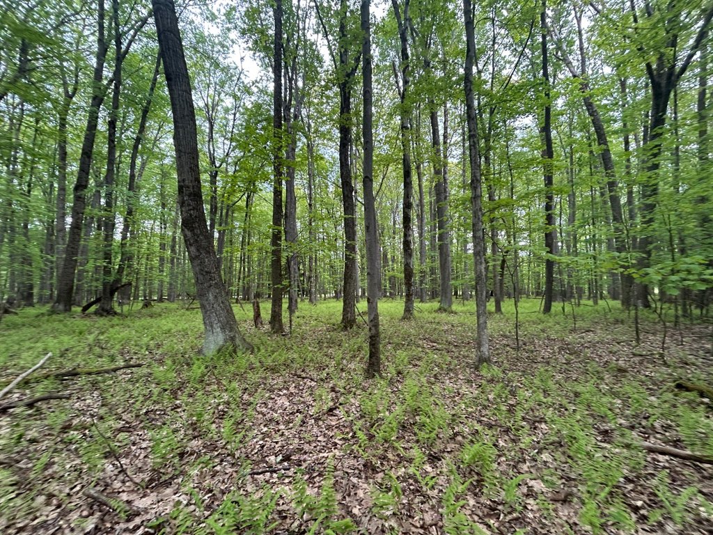 Picture 27