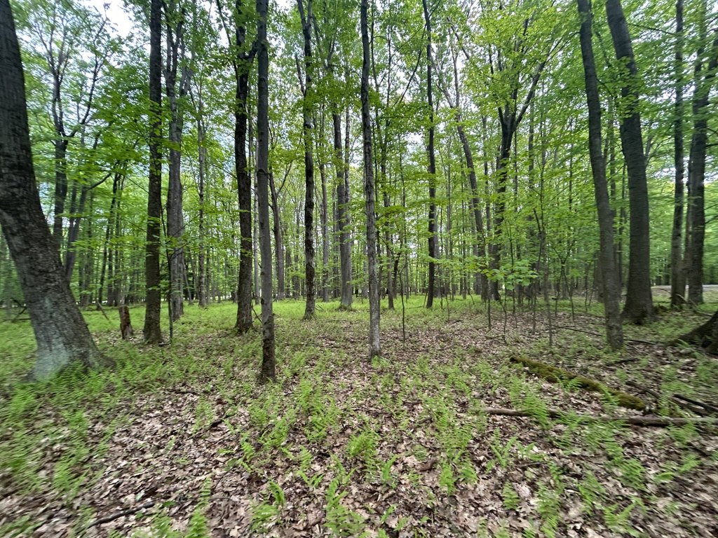 Picture 28