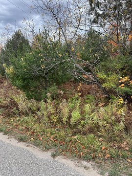 ENGADINE, MI
