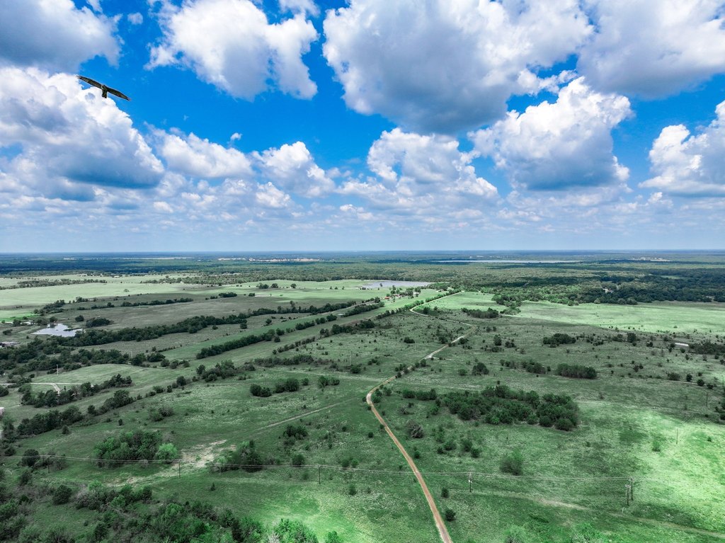 Picture 30