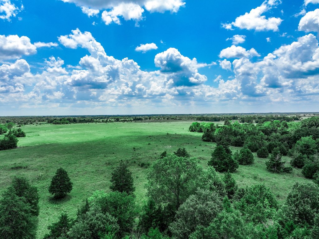 Picture 20