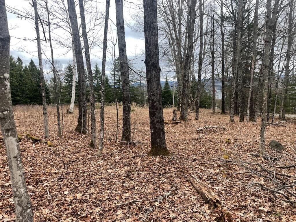 Rangeley Lake Waterfront Land
