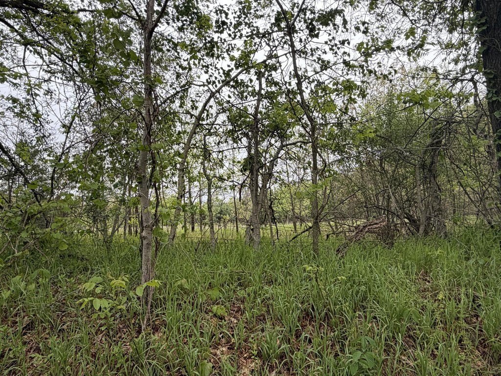 Picture 14