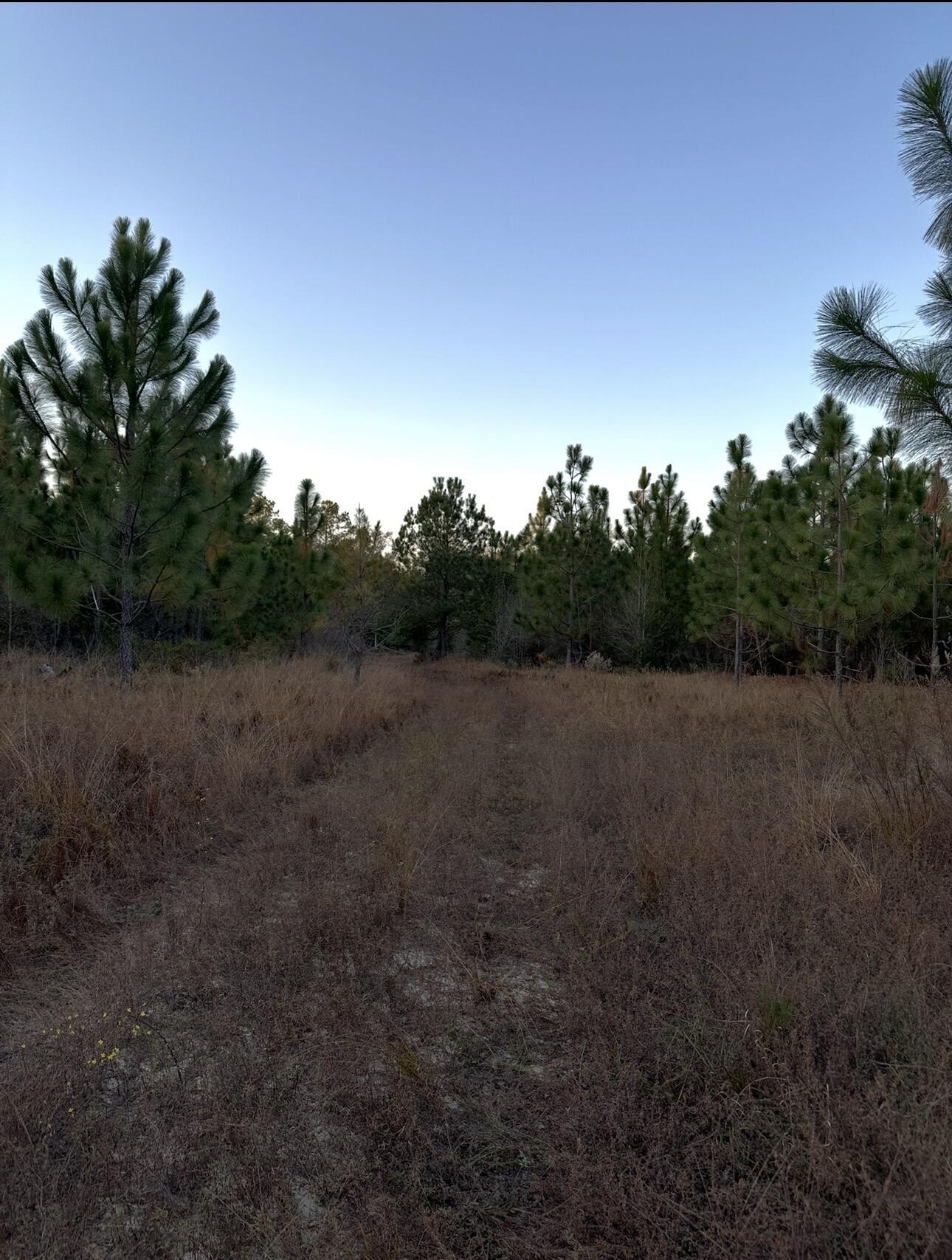Aiken Land with Riding Trails