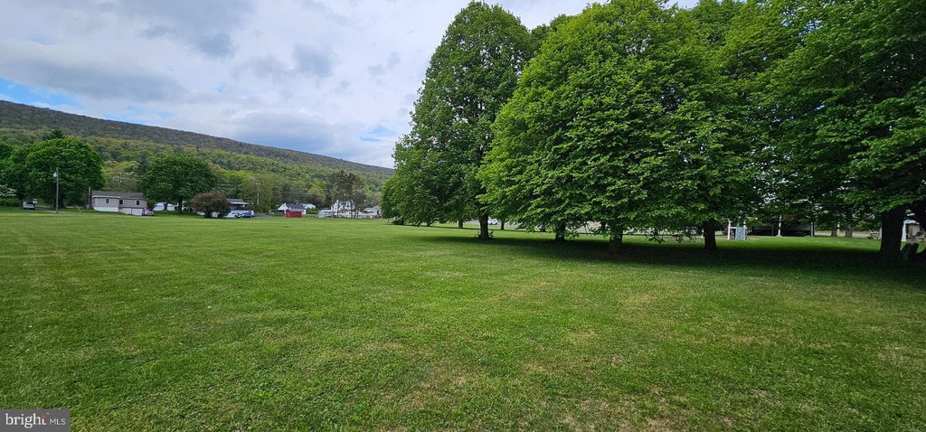 Picture 11