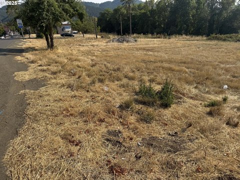 Commercial Land in Oakland, Oregon