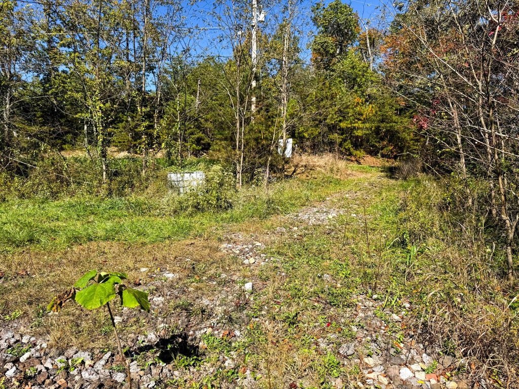 Picture 15