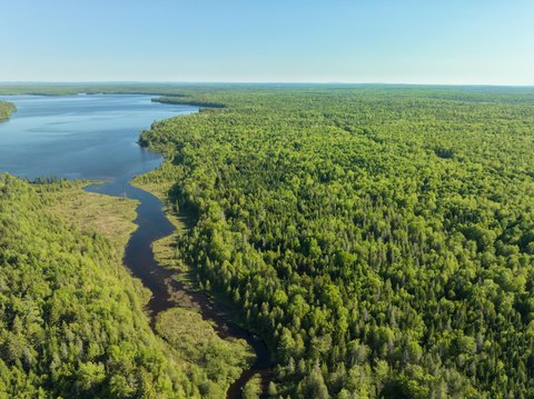 Wooded Lakefront Land Investment