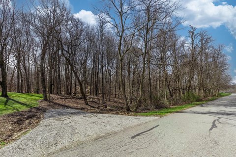 Wooded Land in Pleasant Township