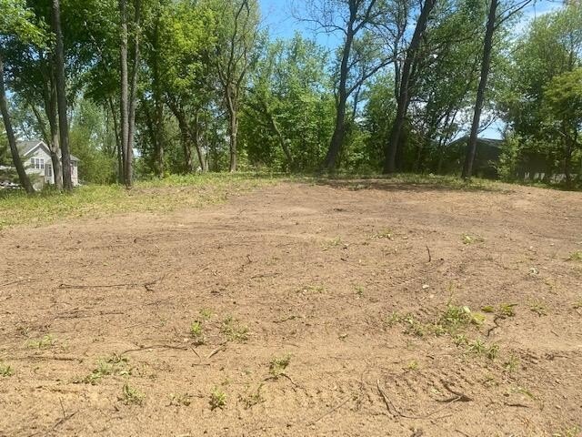 Picture 15