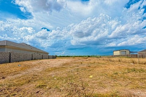 LAND - Weslaco, TX