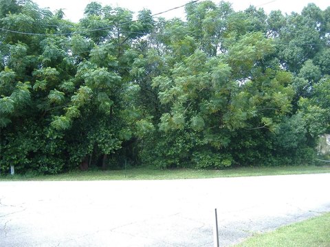 Residential Land in Quiet Neighborhood