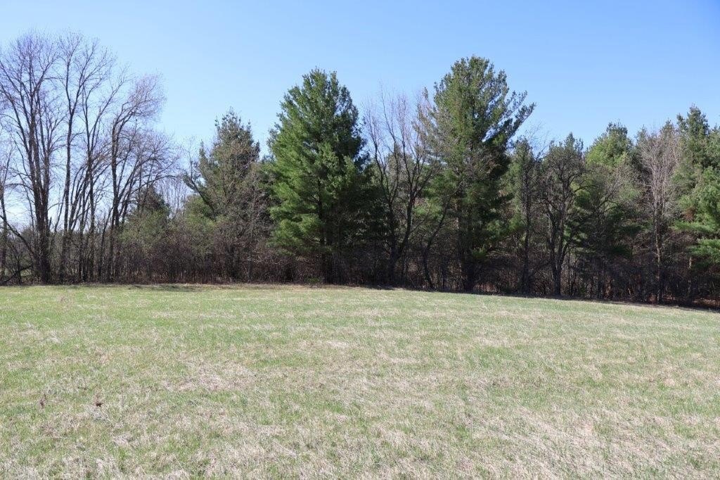 Picture 8