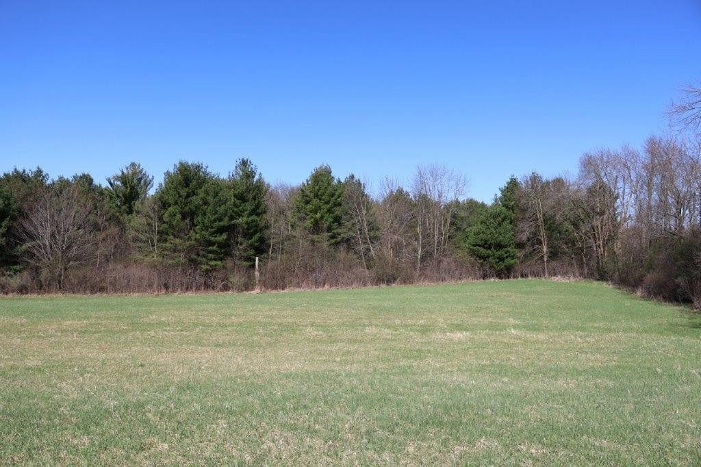 Picture 19