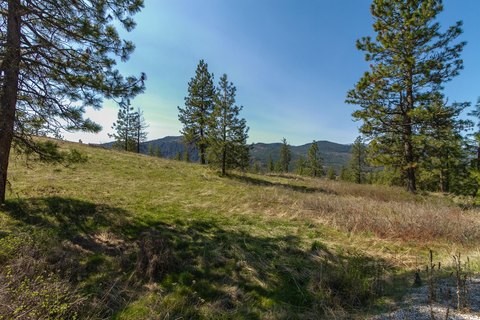 Residential Building Lot with Views