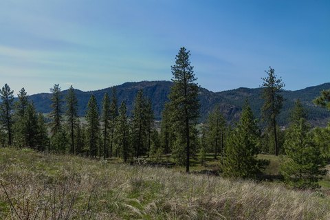 Residential Building Lot with Views