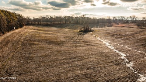 15.4 Acres in Dyer, TN