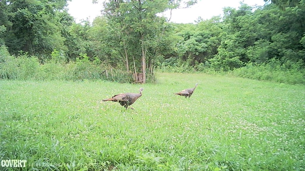 Picture 5