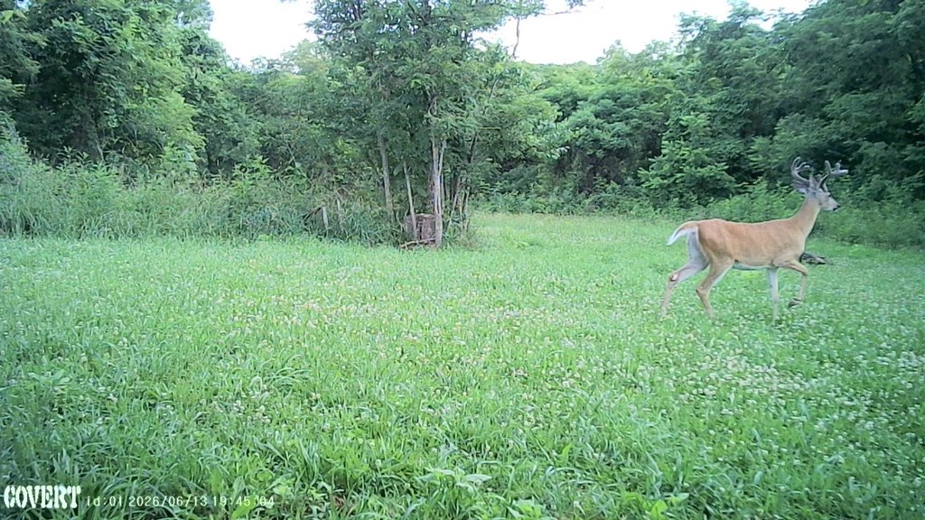 Picture 4