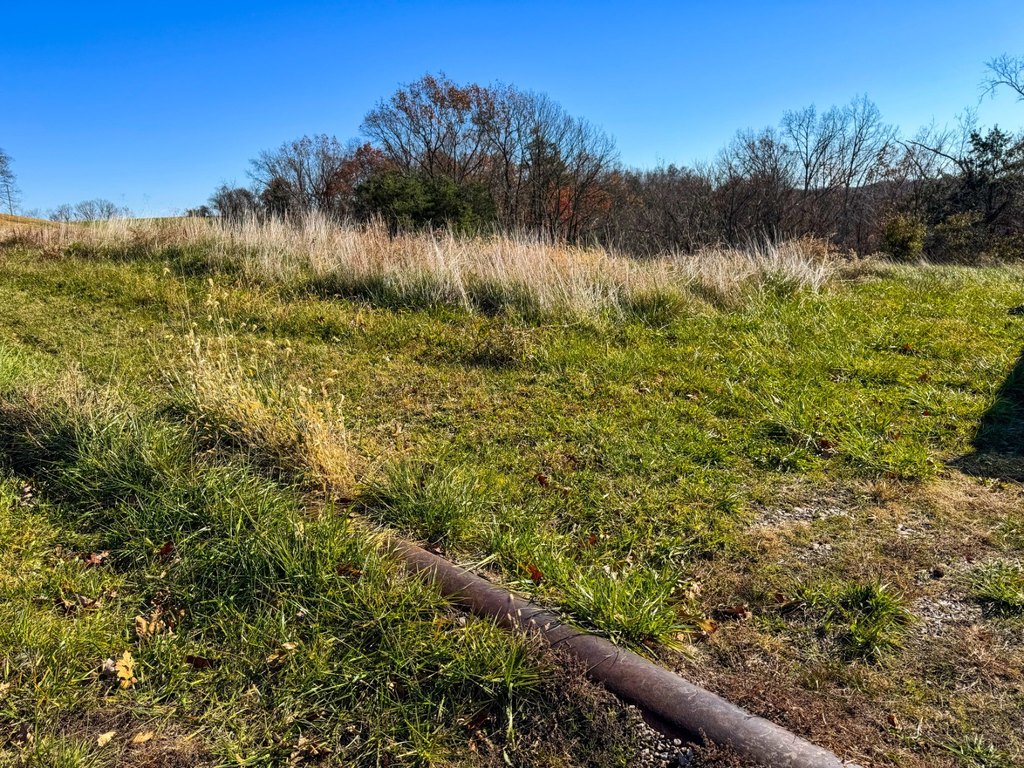 Picture 42
