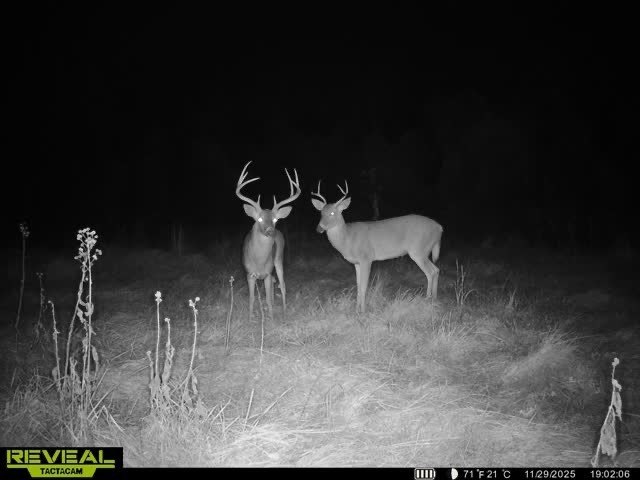 Picture 18