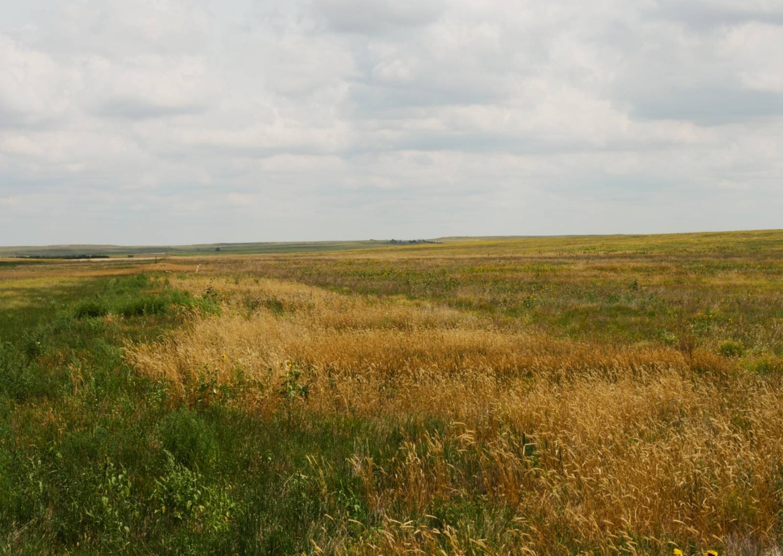 Vacant Land Near Pine Bluffs