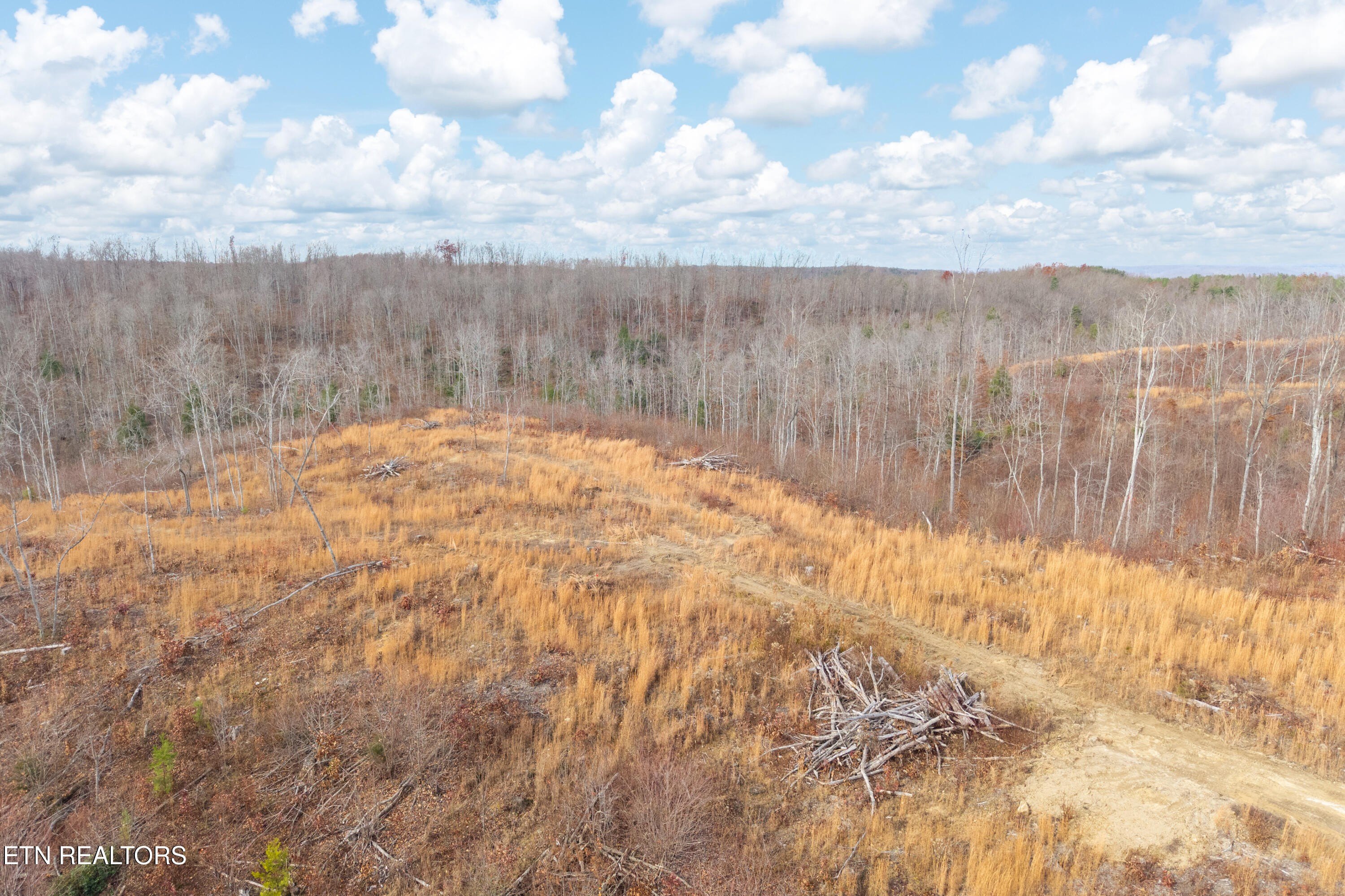 7.62 Acres in Jamestown, TN
