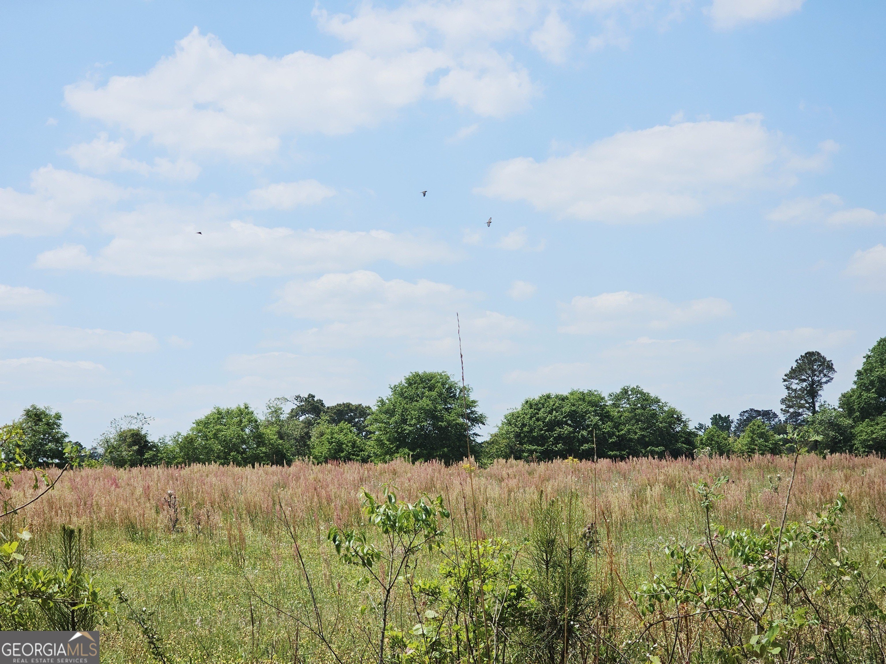 303 Acres of Versatile Land