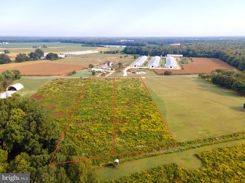 2.25 Acre Parcel in Bridgeville