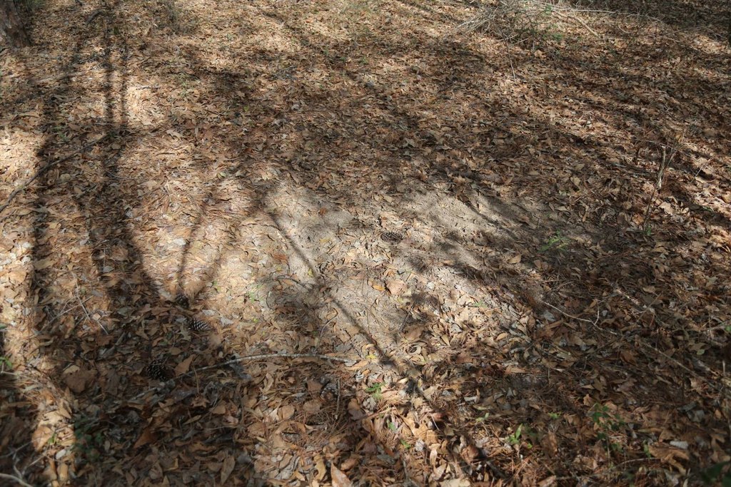 Picture 12