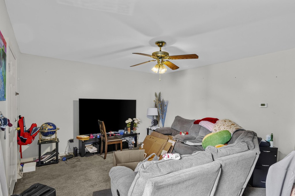 Picture 37