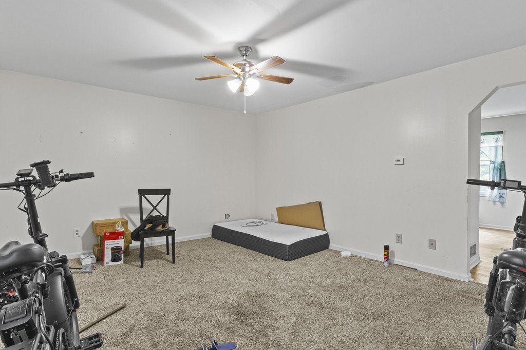 Picture 24