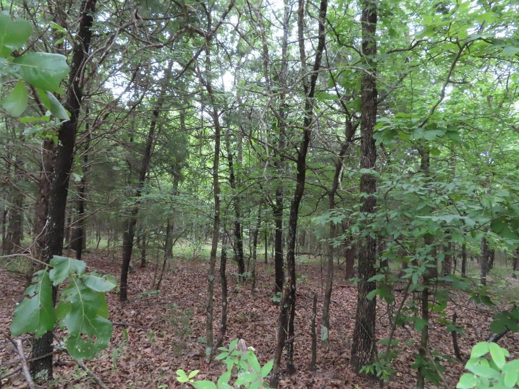Picture 3