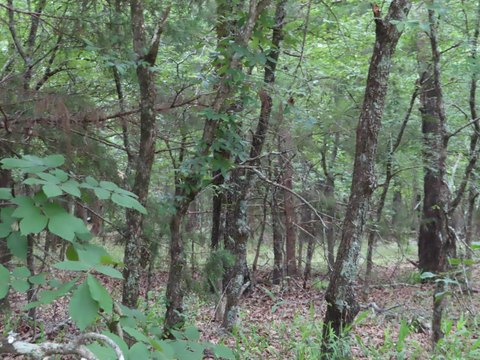 Land, Red Oak, OK