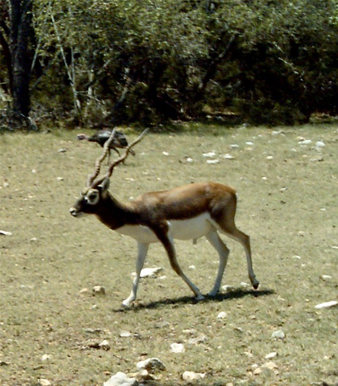 Picture 39