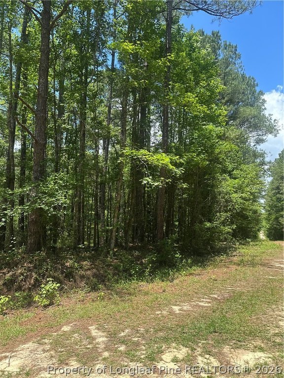 Picture 7