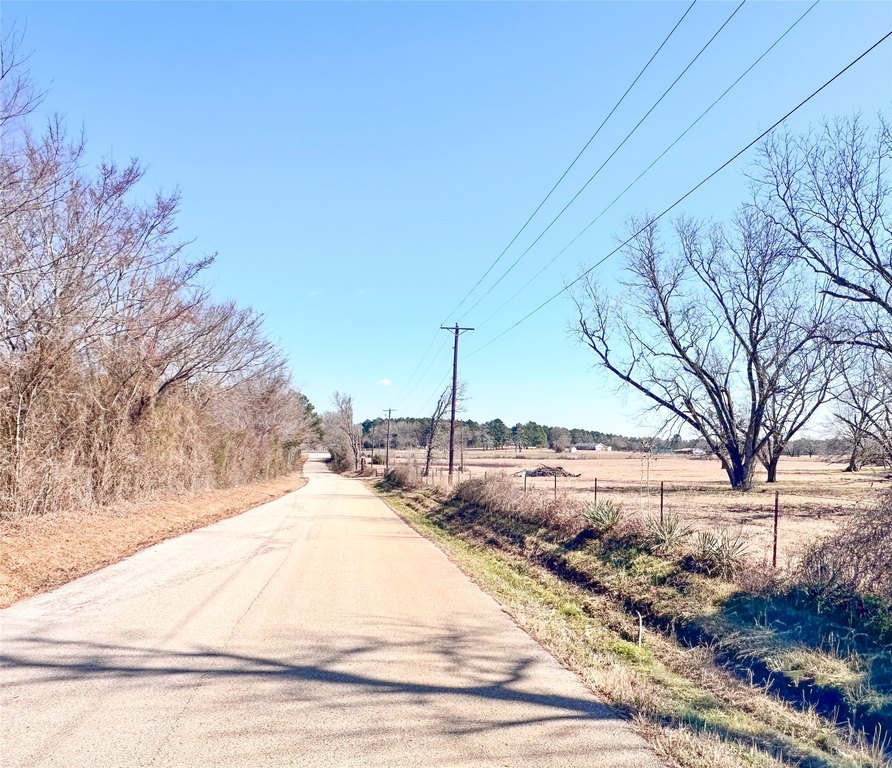 Picture 38