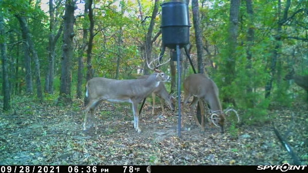 Picture 2