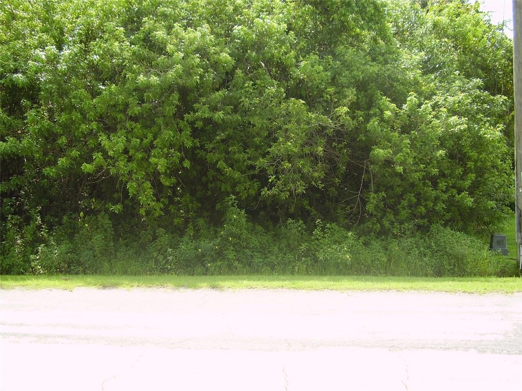 Picture 3