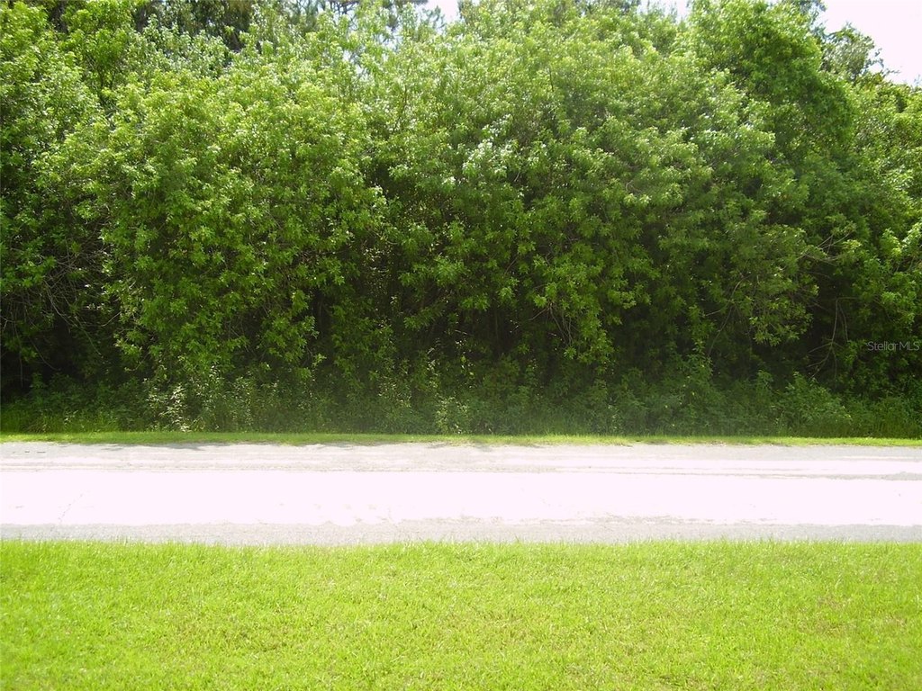 Picture 4