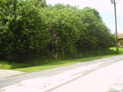 Duplex Lot with Rear Pond
