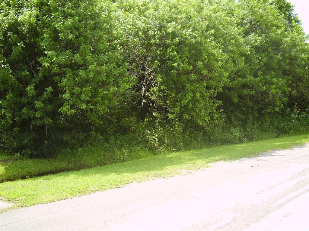 Picture 2