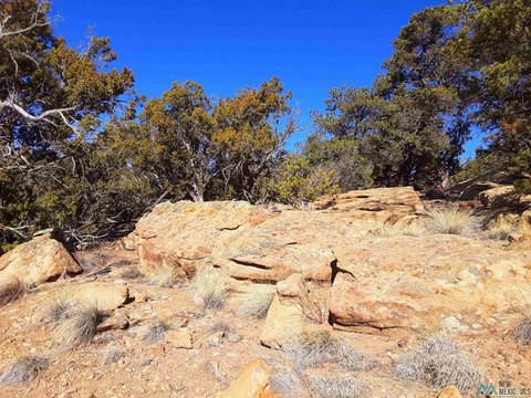 Land, Pinehill, NM