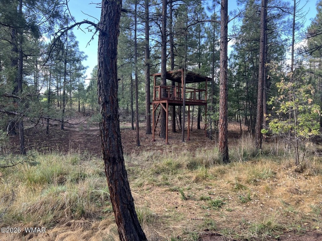 Picture 7